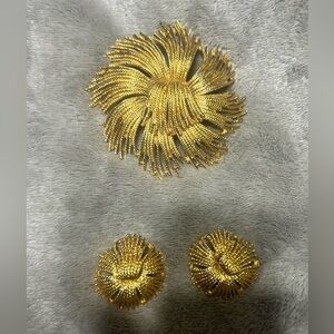 Vintage Monet broach and earrings